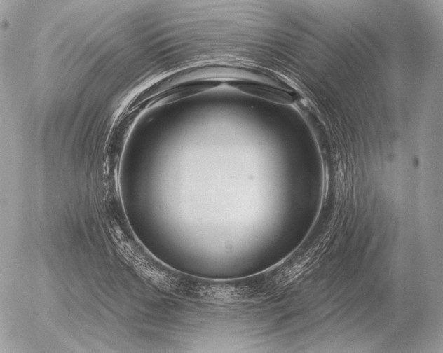 X0000056370971200508261359