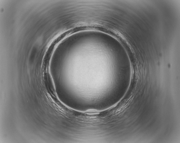 X0000056370975200508261359