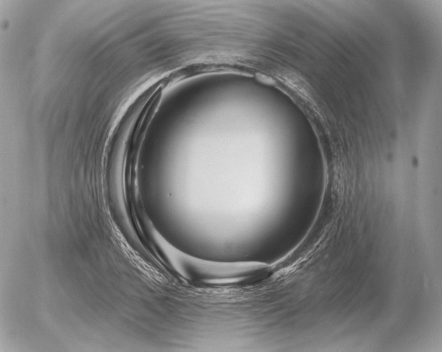 X0000056370976200508261359