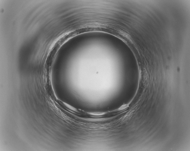 X0000056370979200508261358