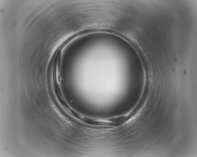 X0000056370981200508261358
