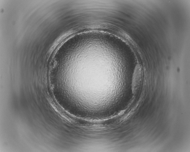 X0000056370986200508261358