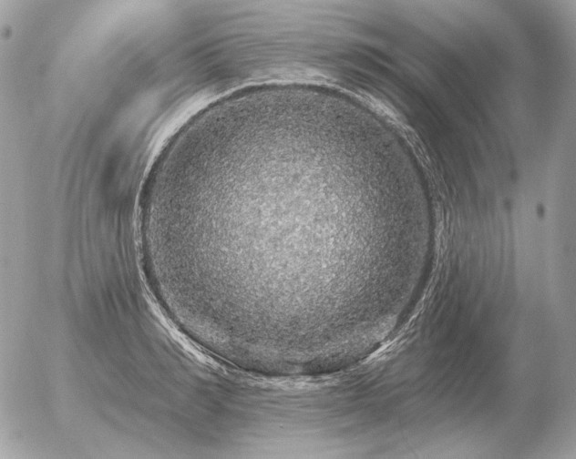 X0000056370990200508261358