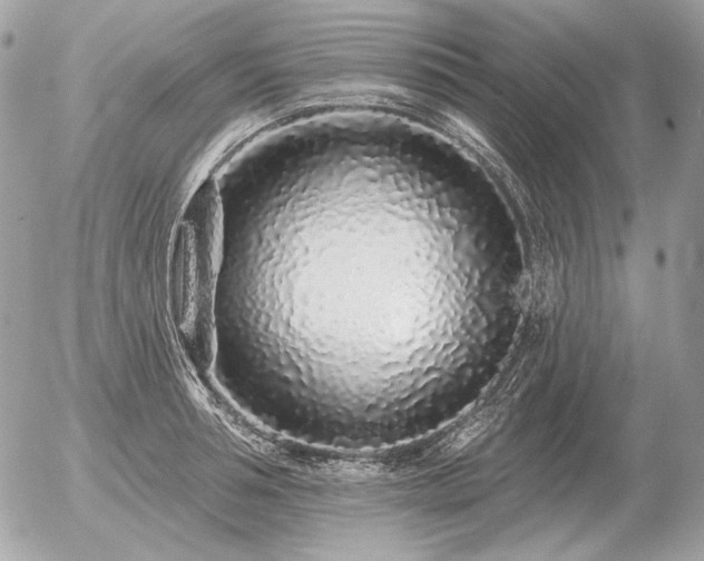 X0000056370994200508261358