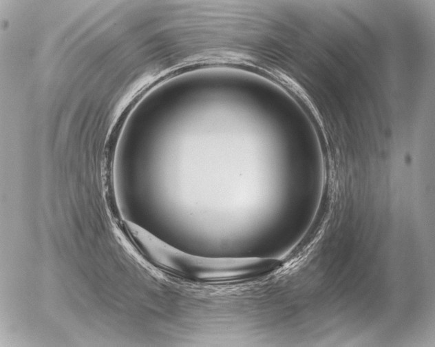 X0000056370997200508261358