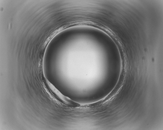 X0000056371001200508261358
