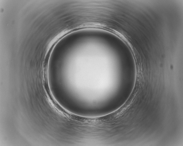 X0000056371003200508261358