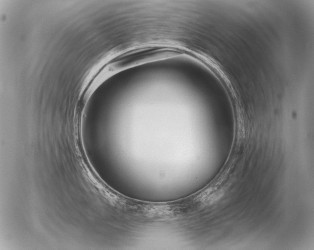 X0000056371006200508261358