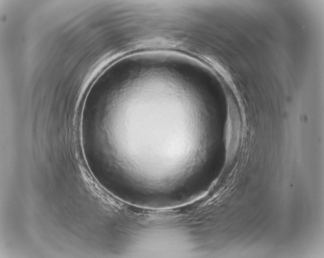 X0000056371008200508261358