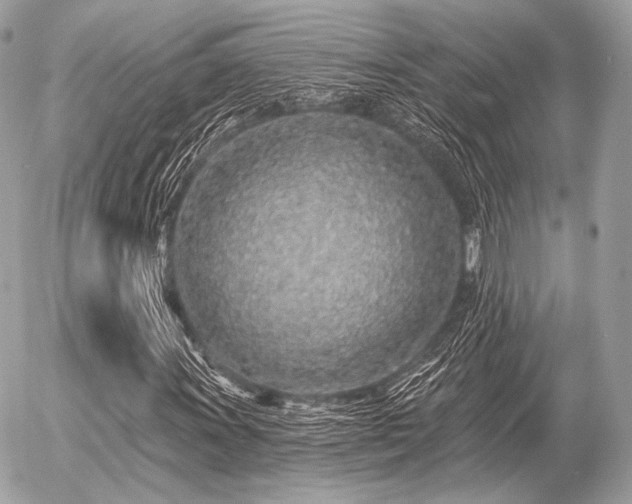 X0000056371011200508261357