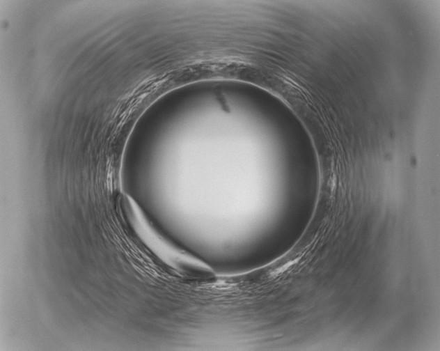 X0000056371014200508261357