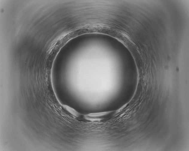 X0000056371016200508261357