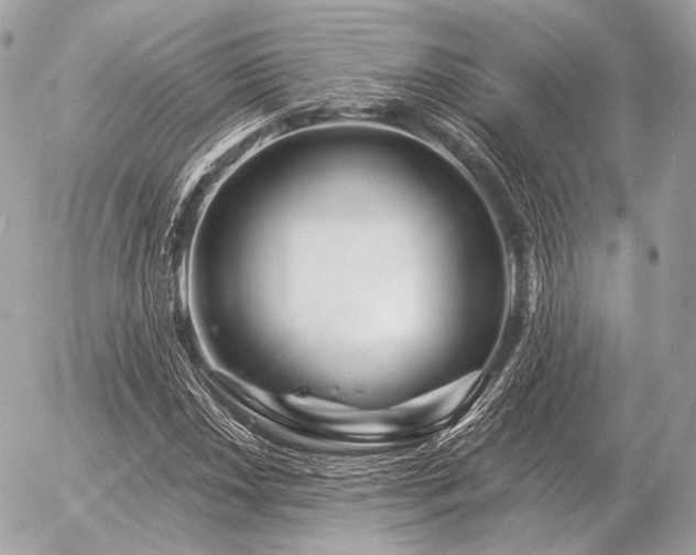 X0000056371018200508261357