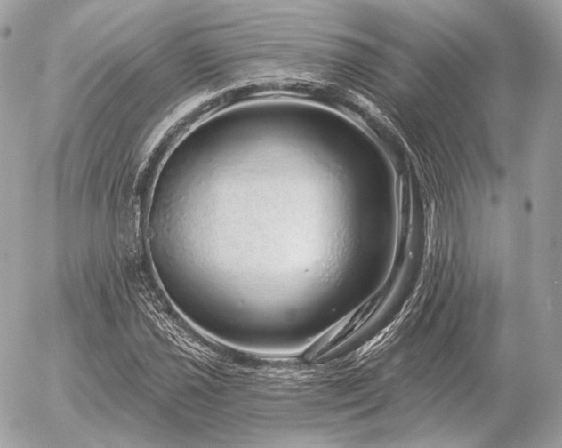 X0000056371021200508261357