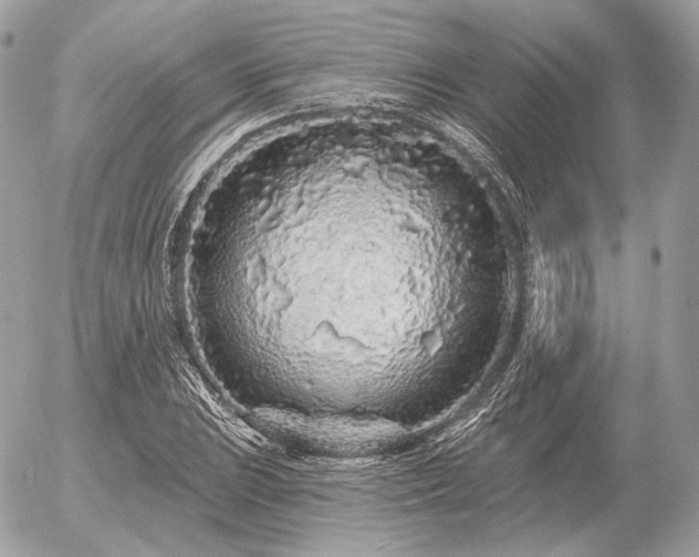 X0000056371023200508261357