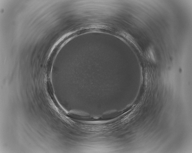 X0000056371024200508261357