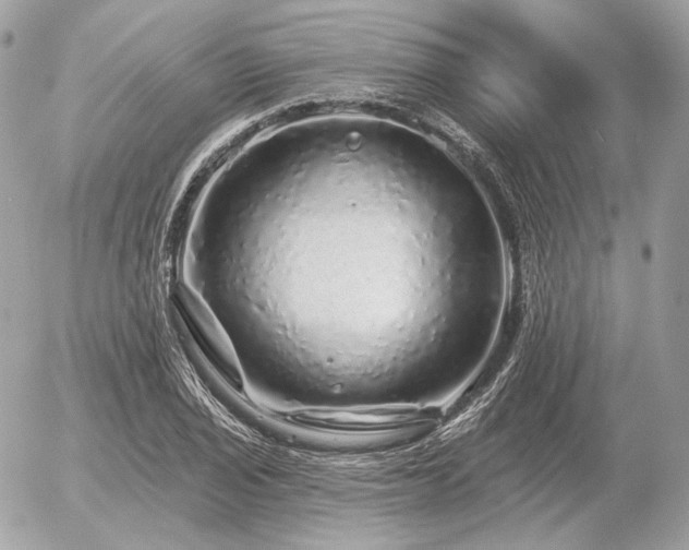X0000056371029200508261358