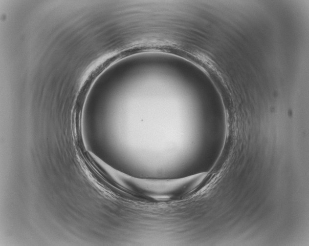 X0000056371030200508261358