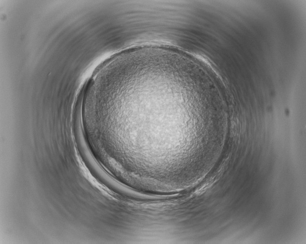 X0000056371038200508261358