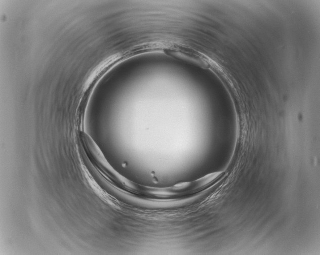 X0000056371042200508261358