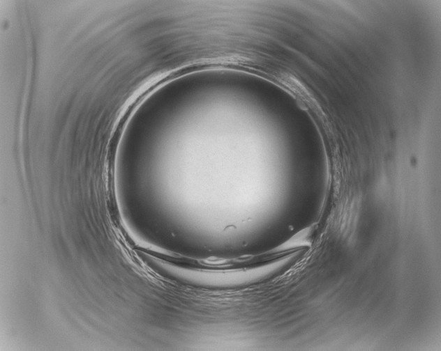 X0000056371044200508261358