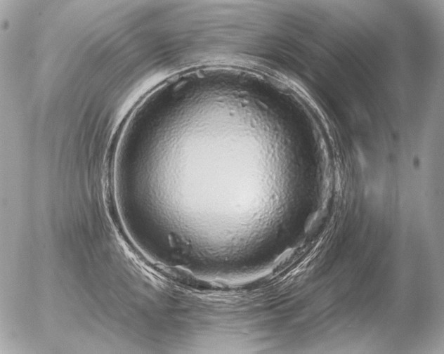 X0000056371048200508261358