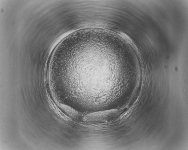 X0000056371052200508261358
