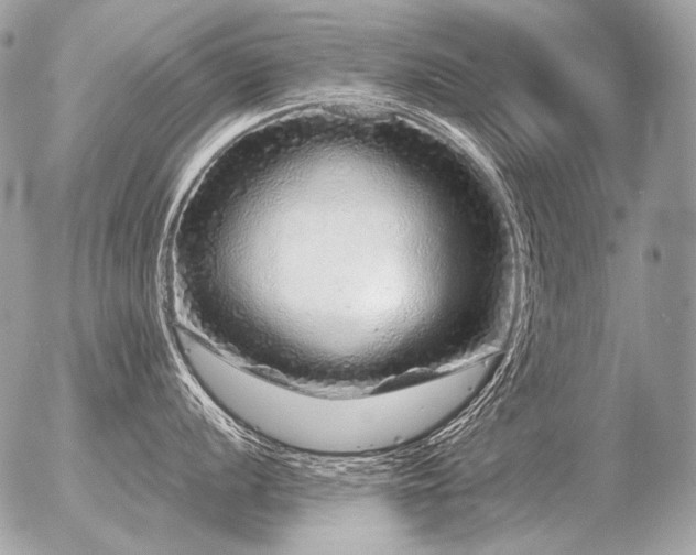 X0000056371056200508261358