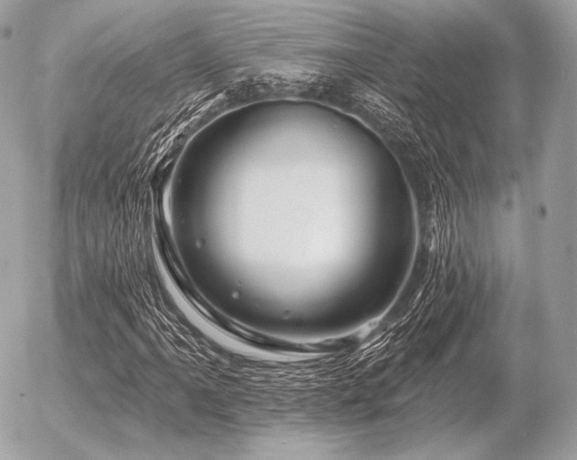 X0000056371061200508261357