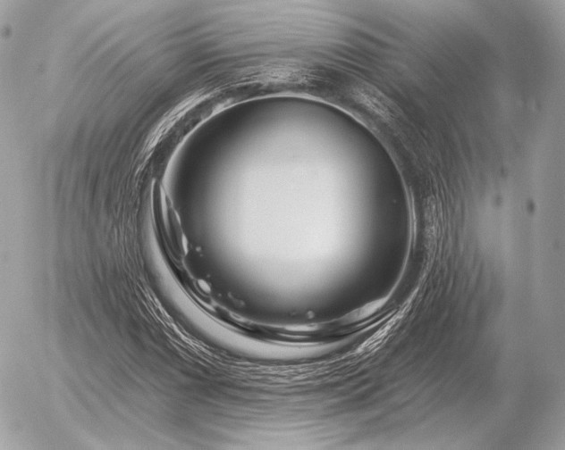 X0000056371066200508261357