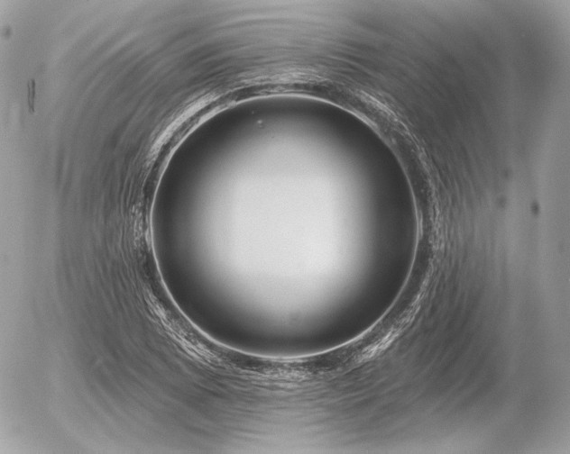 X0000056371073200508261357