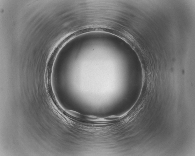 X0000056371076200508261357