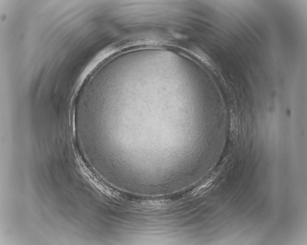 X0000056371078200508261357
