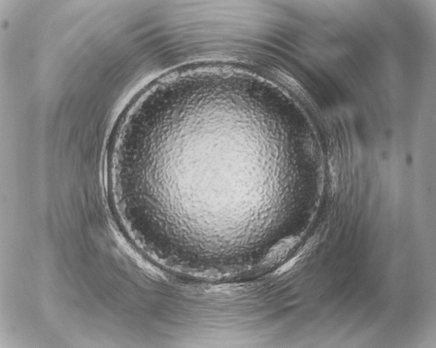 X0000056371084200508261357