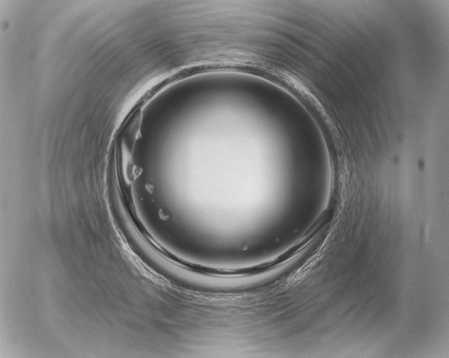 X0000056371085200508261357