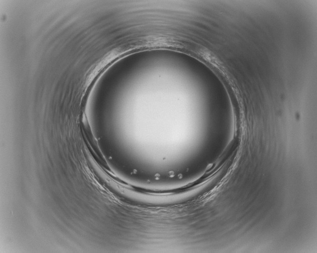 X0000056371089200508261357
