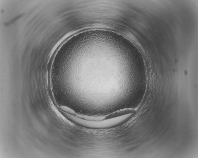 X0000056371092200508261357