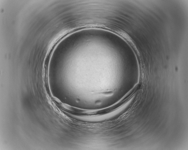 X0000056371096200508261357