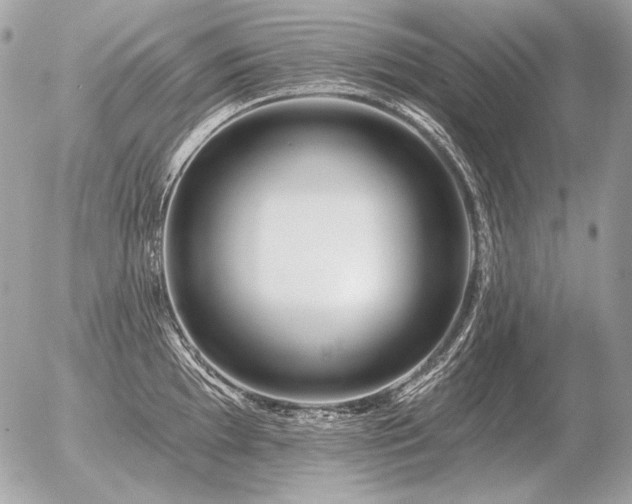X0000056371097200508261356