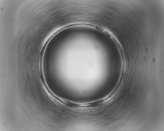 X0000056371101200508261356