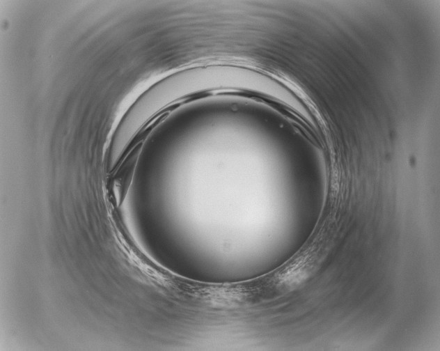X0000056371102200508261356