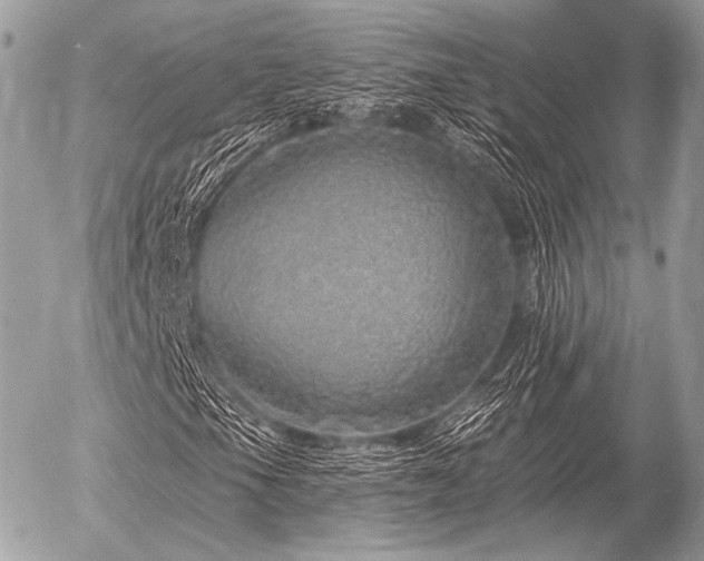 X0000056371105200508261355