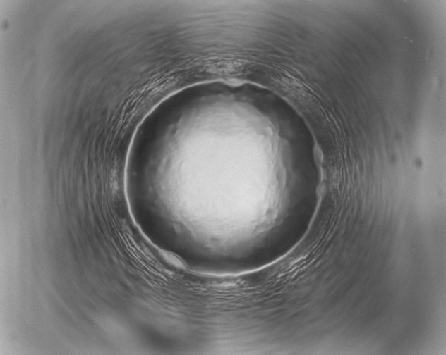 X0000056371106200508261355