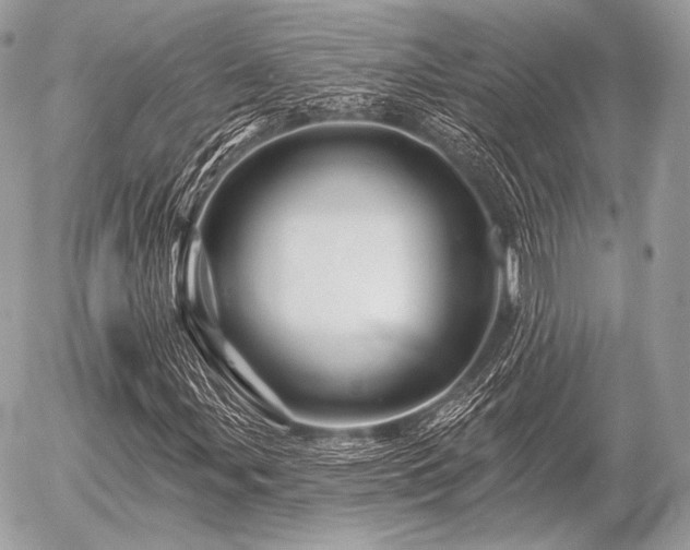 X0000056371107200508261356