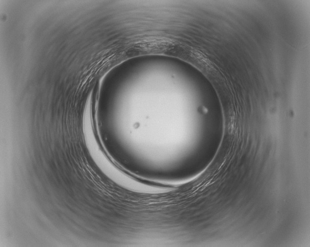 X0000056371108200508261356