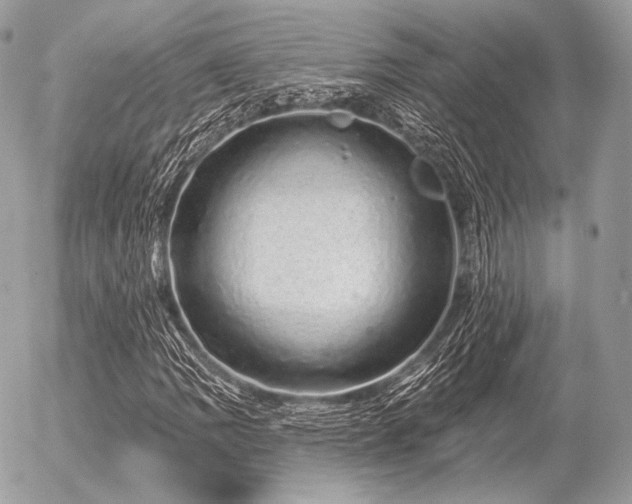 X0000056371109200508261356