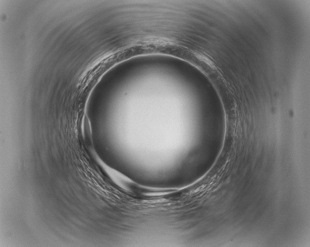 X0000056371112200508261356