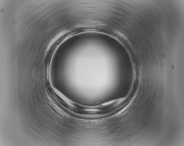X0000056371114200508261356