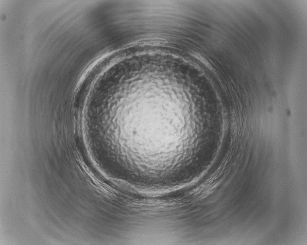 X0000056371115200508261356