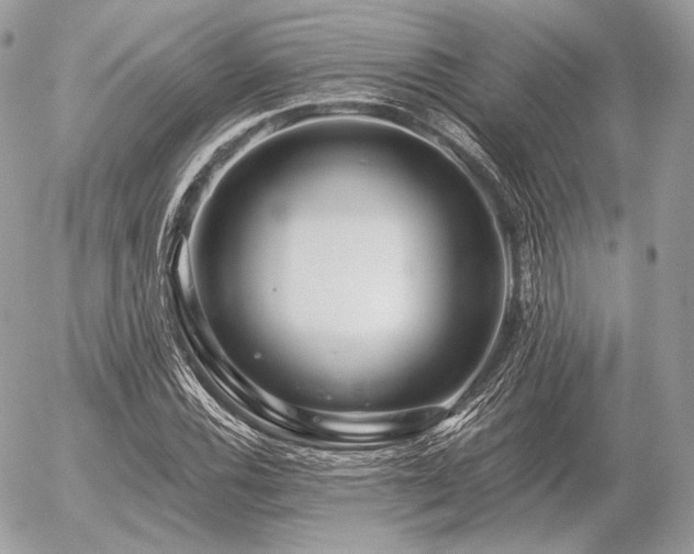 X0000056371116200508261356